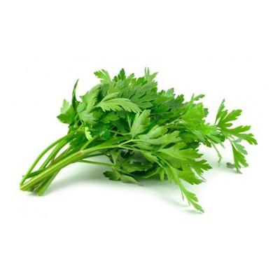 Cilantro FYV manojo unidad