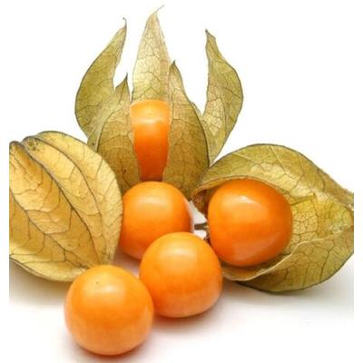 Uchuva FYV cajita unidad